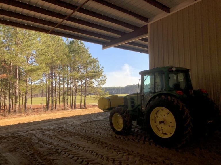 2021 Vidalia Onion Crop Update + Pics