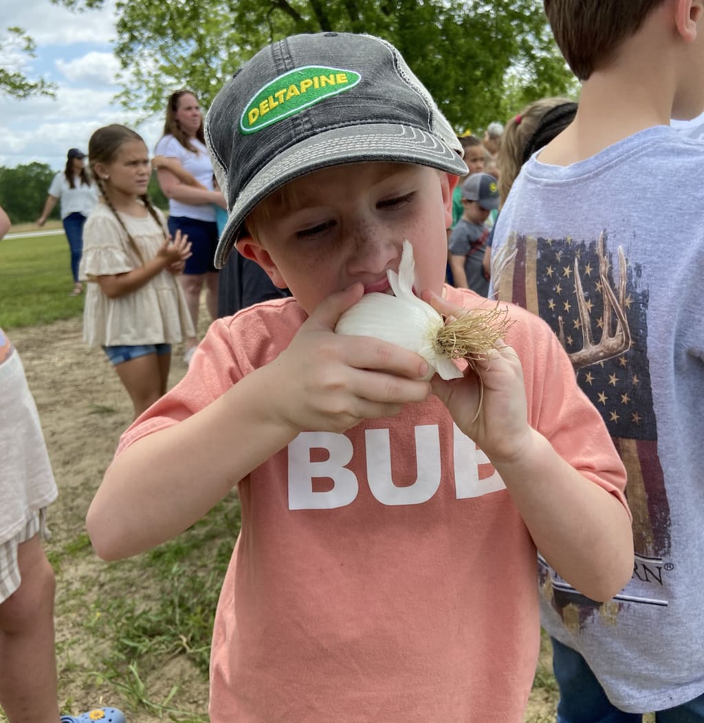 Eating Vidalia Onion like an Apple