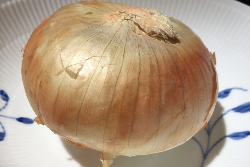 45 day old Vidalia Onion