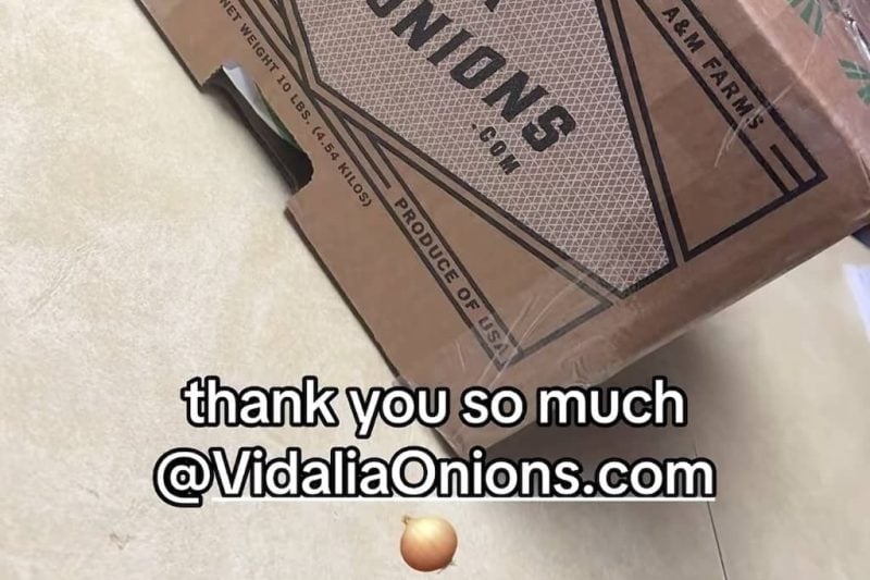 Taylor Nicole onions Tiktok