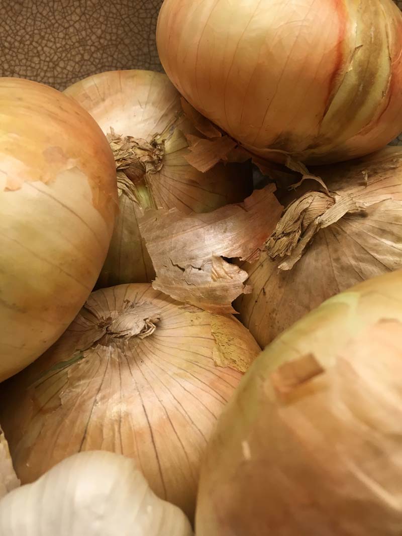 Vidalia Onions closeup