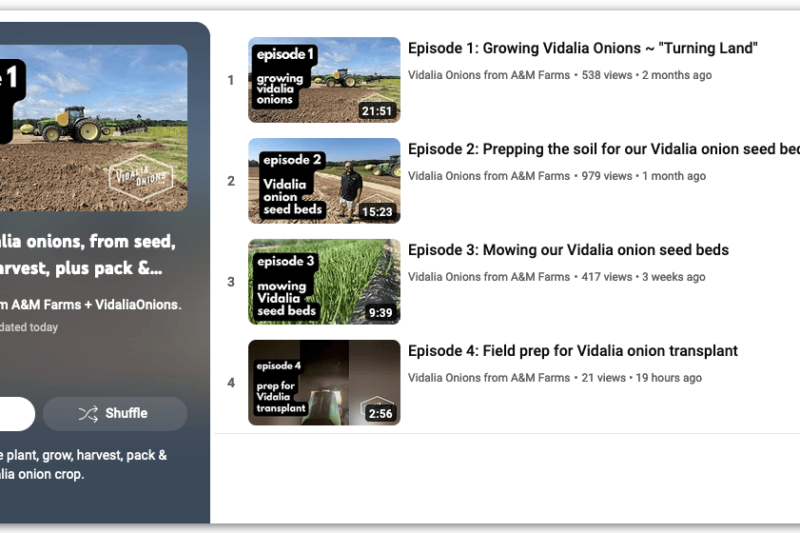 Vidalia Onion episodes on YouTube