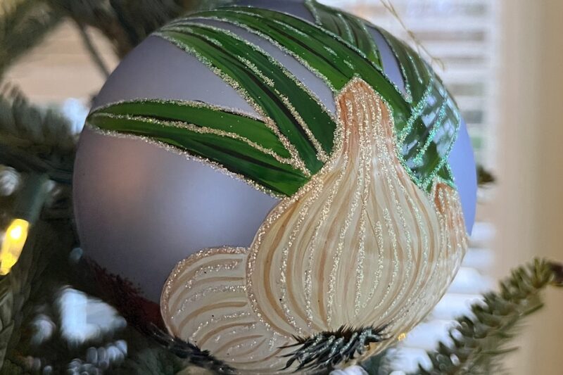 Vidalia onion ornament (cropped)