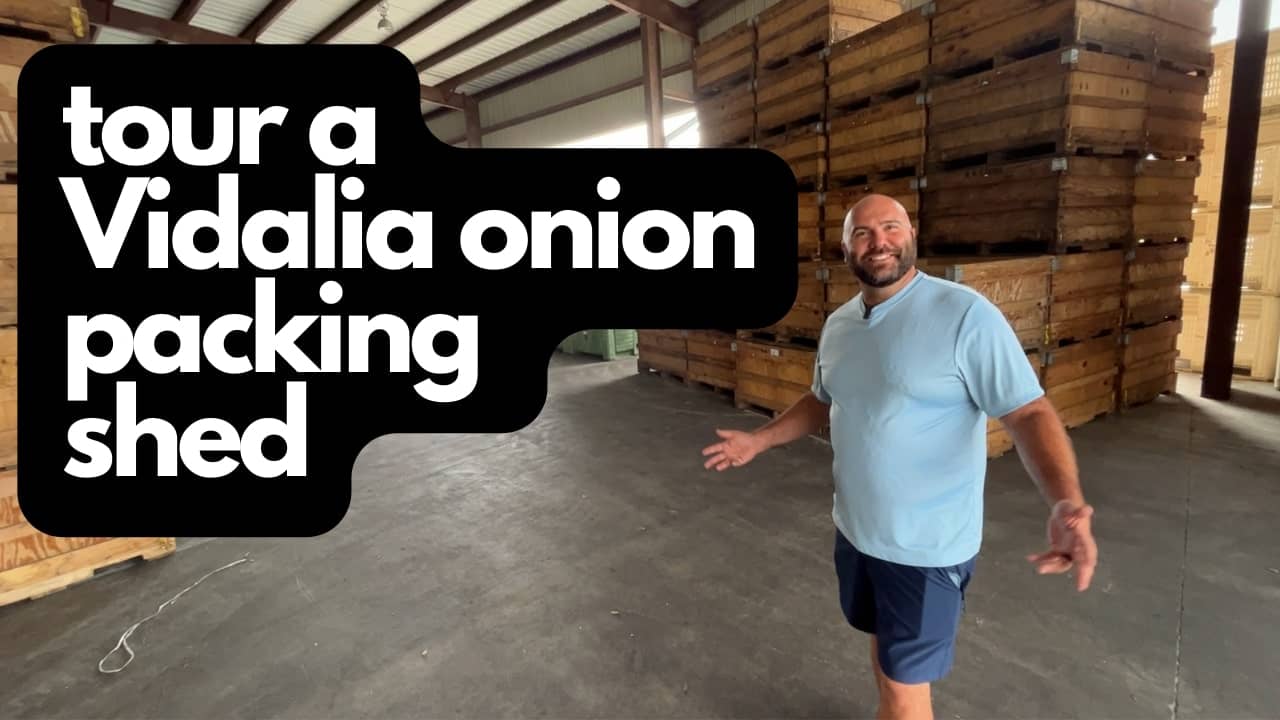 Vidalia onion packing shed tour