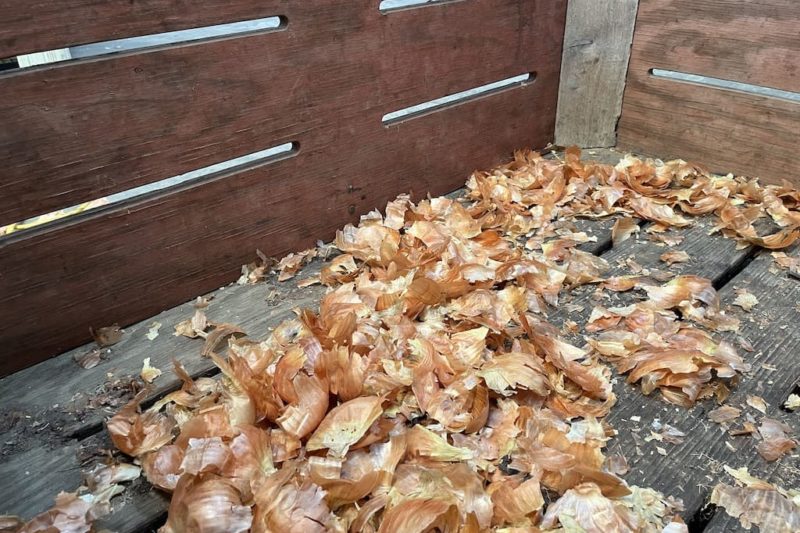 Vidalia onion husk in an empty crate